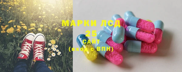 прущие крисы Арсеньев