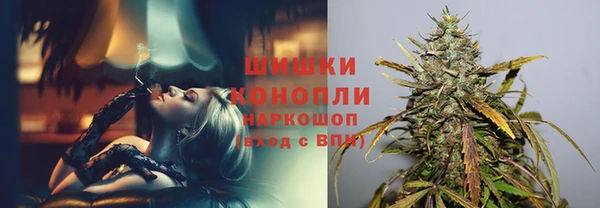 прущие крисы Арсеньев