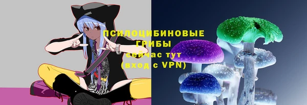 кокс Аркадак