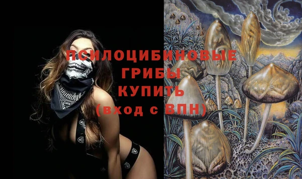прущие крисы Арсеньев