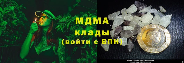 стаф Пересвет