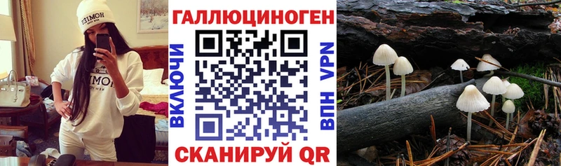 Псилоцибиновые грибы Magic Shrooms Дегтярск